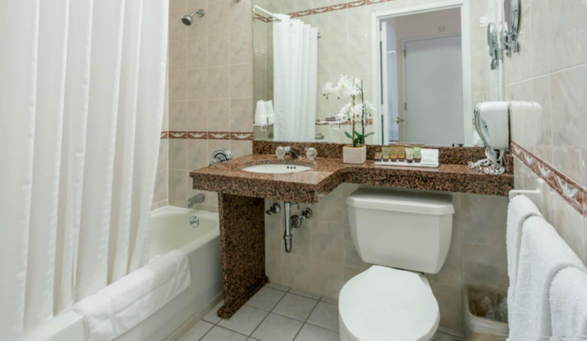 Chelsea Savoy Hotell New York Eksteriør bilde